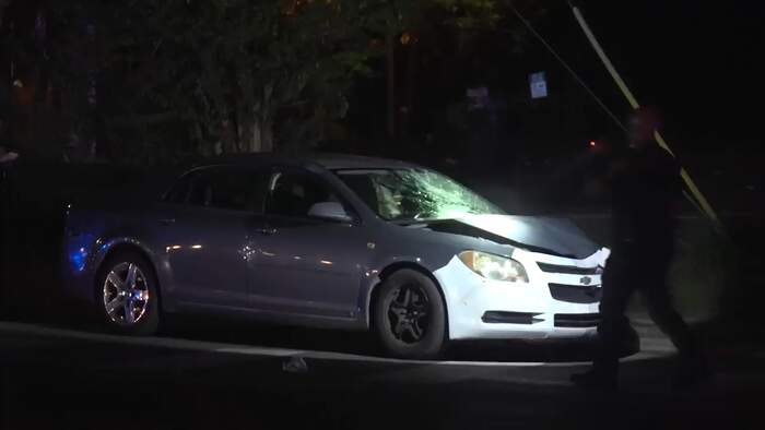 Houston Police: Pedestrian killed in crash on Cullen Boulevard, driver ...