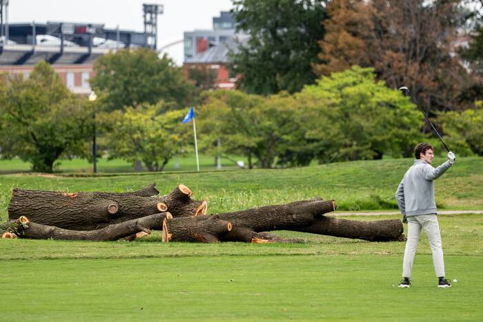 Park service could remove more than 500 trees at historic golf course ...