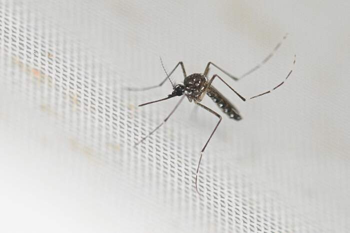 ‘They're deadly': Orange County residents avoid going out without repellent as county sprays for mosquitoes