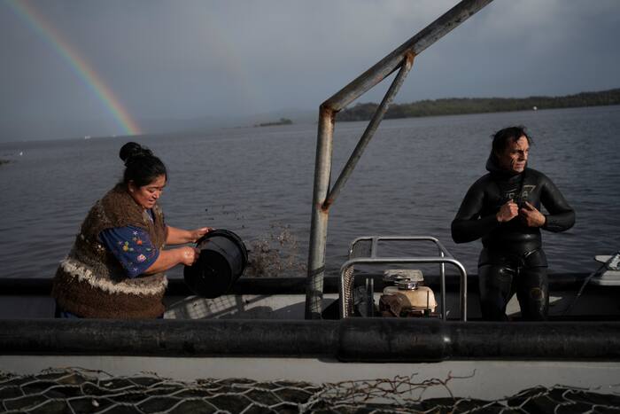Southern Chile, locals push to protect oceans that have been hurt by intensive salmon farming