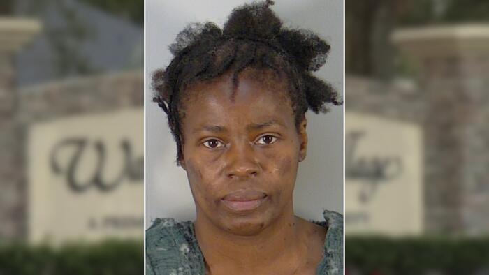 Coverage image for: Jury to hear closing arguments in trial of woman accused of stabbing elderly Mount Dora couple to death