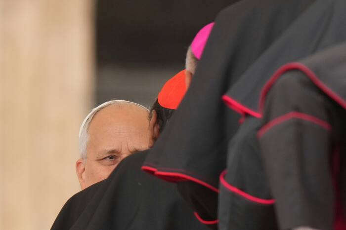 Pope Leo XIV opens status check on Pope Francis' contentious opening to ...