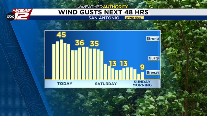 Strong, gusty winds, much cooler today