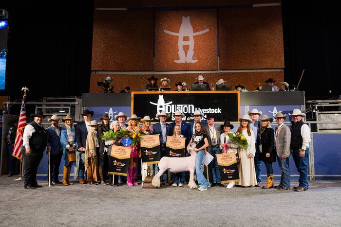 Grand Champion Market Lamb sells for record-setting $1 million at ...