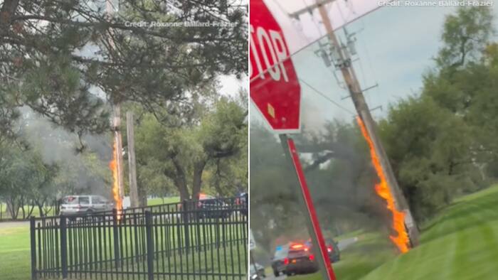 Arson News Image