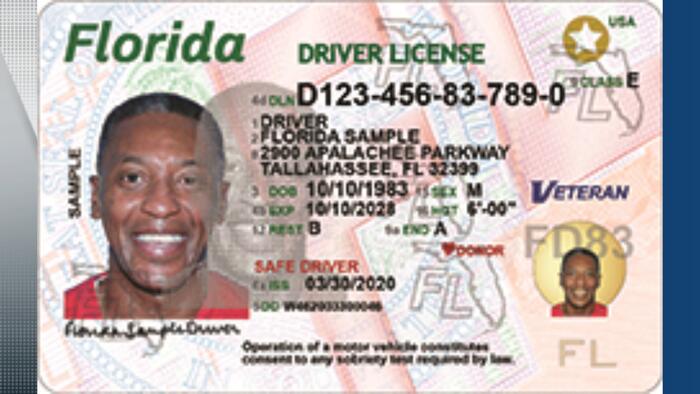 Florida says driver license, vehicle records may have been accessed in ...