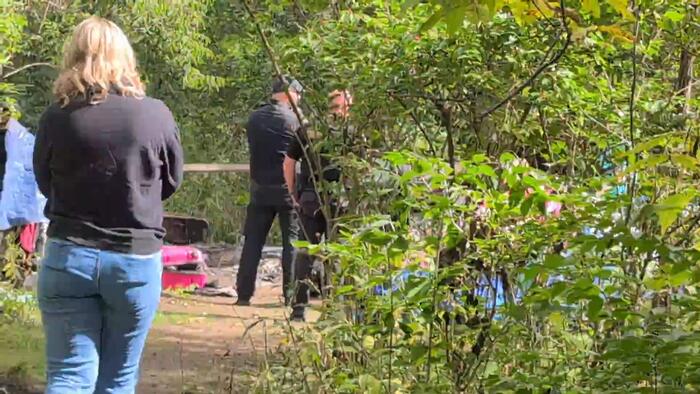 Westland homeless encampment persists on county land as officials seek lasting solution