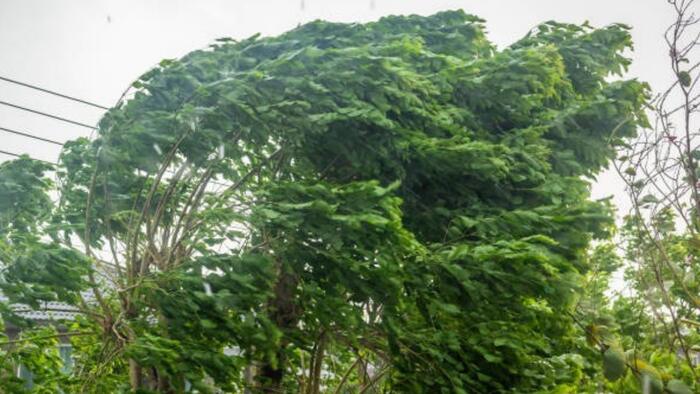 San Antonio cold front prep: What to do tonight before 50 mph wind gusts arrive