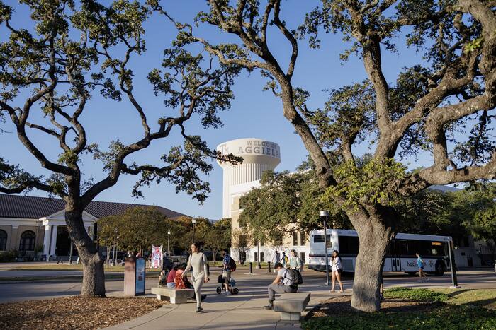 Texas college watchdog received nearly 70 complaints, opened one ...