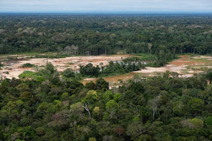Criminal networks threaten the Amazon. Indigenous leaders want the UN ...