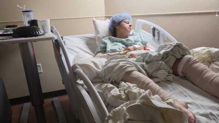 Woman hospitalized after four dogs attack her near Lake Livingston, owner cited for failing to vaccinate
