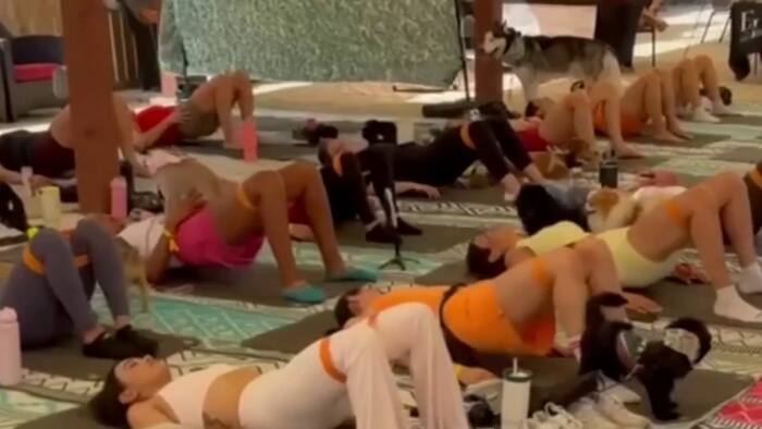 click2houston.com - Ricky  Munoz - Pilates & Banda: Houston couple brings Latino culture into the conversation about fitness and wellness