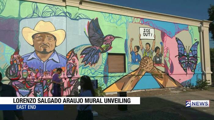 Lorenzo Salgado Araujo Houston mural unveiled