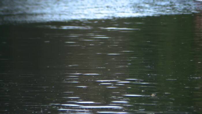 high-water_rescue_operations