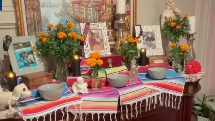 Día de los Muertos de la Mascota — honoring the pets we’ve loved, lost