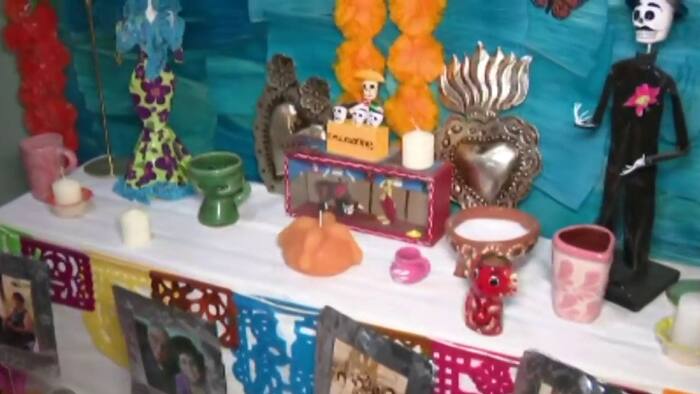 Where to celebrate Día de Muertos in Houston: MECA festival returns ...