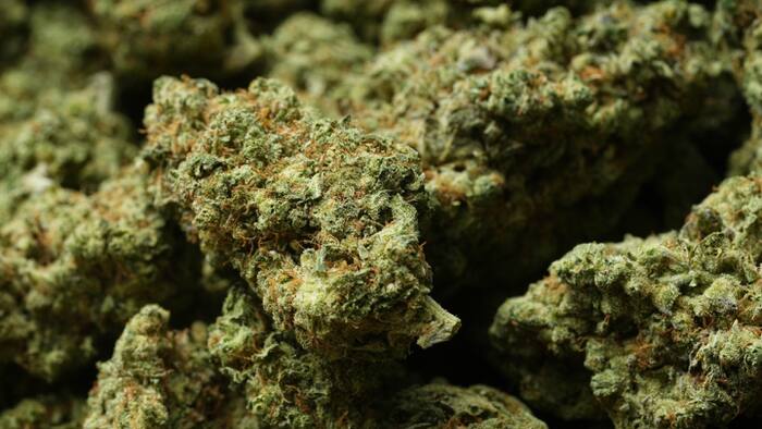 click2houston.com - De'Anthony  Taylor - Houston Proposition A: All-or-nothing vote on Marijuana, no-knock warrant