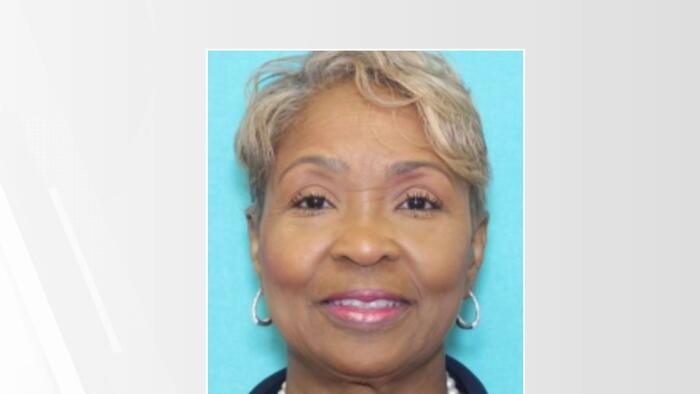 Fort Bend County tax assessor-collector Carmen Turner arrested in ...