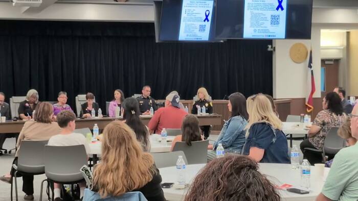 S.A. domestic violence town hall highlights gaps in protective orders ...