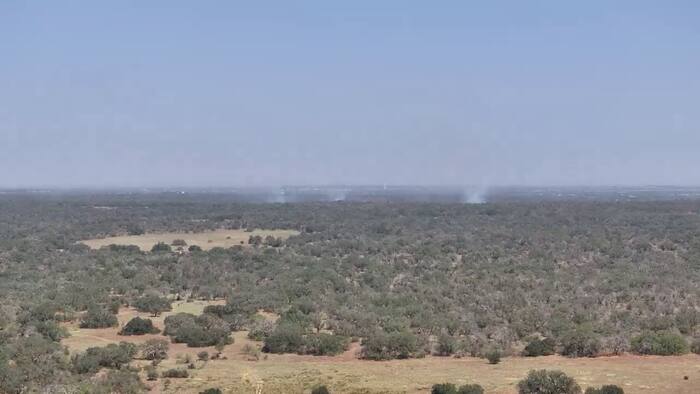 Multiple fire crews, Texas A&M Forest Service battling 350-acre grass ...