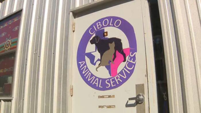 Donors pay pet adoption fees as Cibolo awaits new $9M shelter