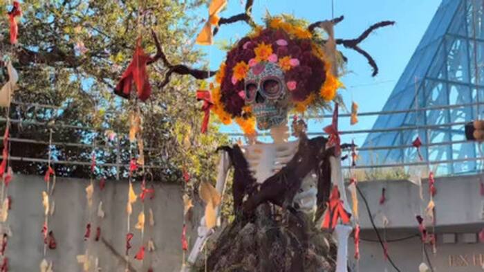 San Antonio Botanical Garden's newest exhibition celebrates Día de los Muertos