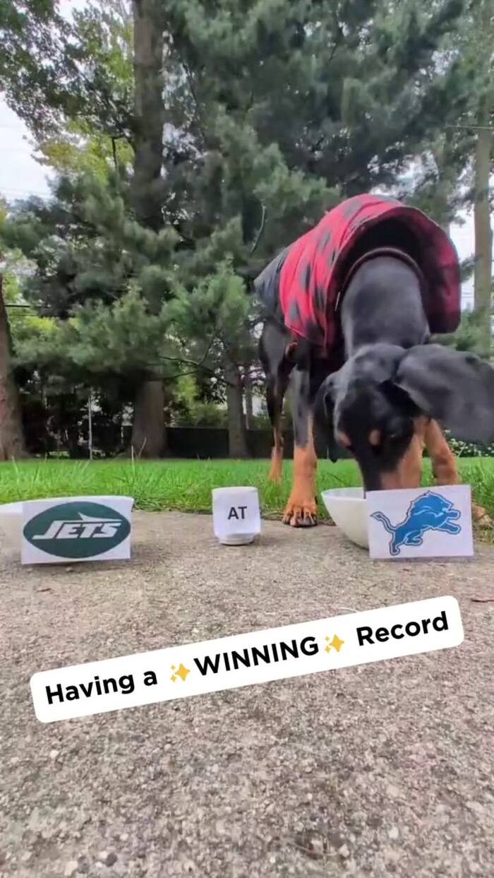 Callie Calls It -- Bye Week!