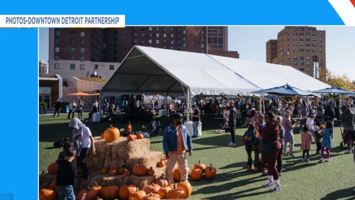 Fall events around Detroit offer outdoor fun