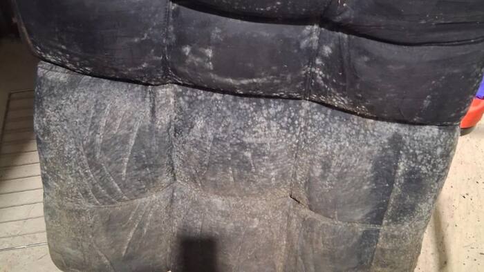 Additional Public Storage customer alleges mold damaged belongings in ...