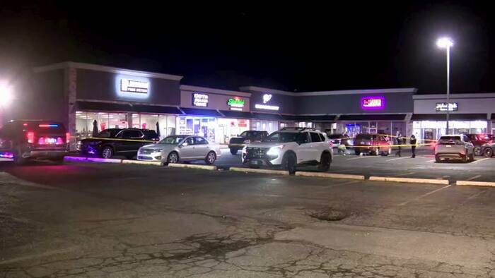 Police investigate incident at shopping plaza in Westland
