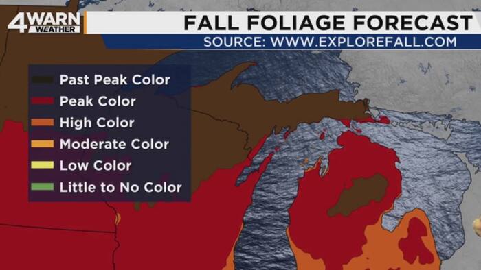 Sunshine and mild temperatures continue before a possible pattern change