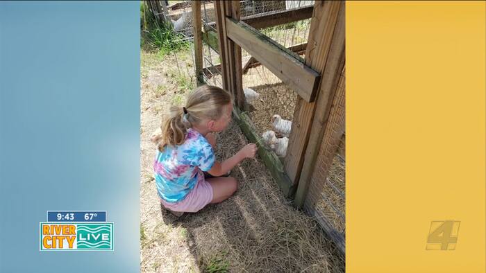 news4jax.com - Tour de Farm: Discover Duval County's Local Farms