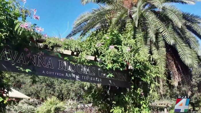Jacksonville Zoo and Botanical Gardens horticulture team maintains grounds