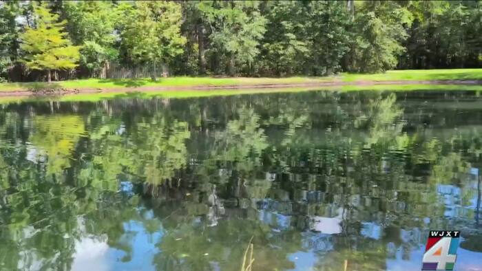 Family sues Jacksonville senior apartment complex after 85-year-old ...