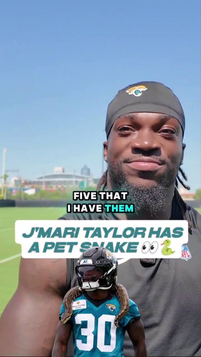 Jaguars running back J'Mari Taylor has a pet snake named Batman 👀🐍
