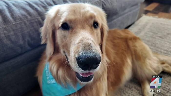 A Jacksonville rescue dog’s unlikely survival is raising awareness about a rare disease hiding in Florida’s water