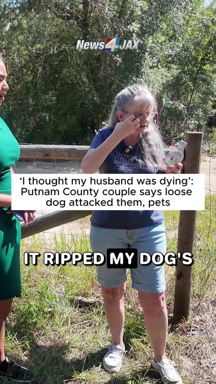 Putnam County couple says loose dog attacked them, pets