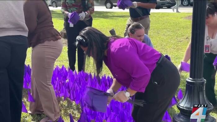 Hubbard House, Jacksonville leaders highlight scope of domestic ...