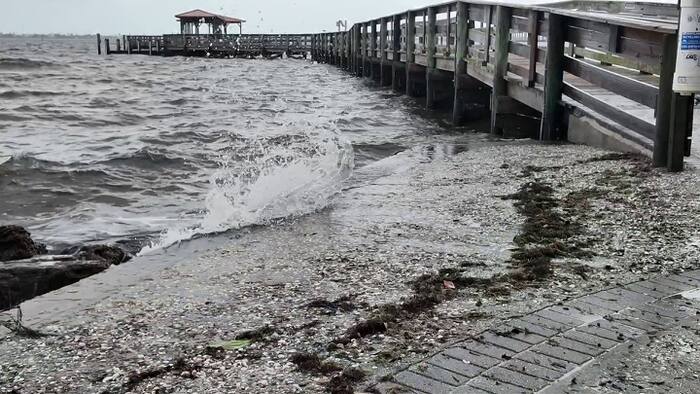Indian River Lagoon cleanup tax renewal heads to Brevard County voters