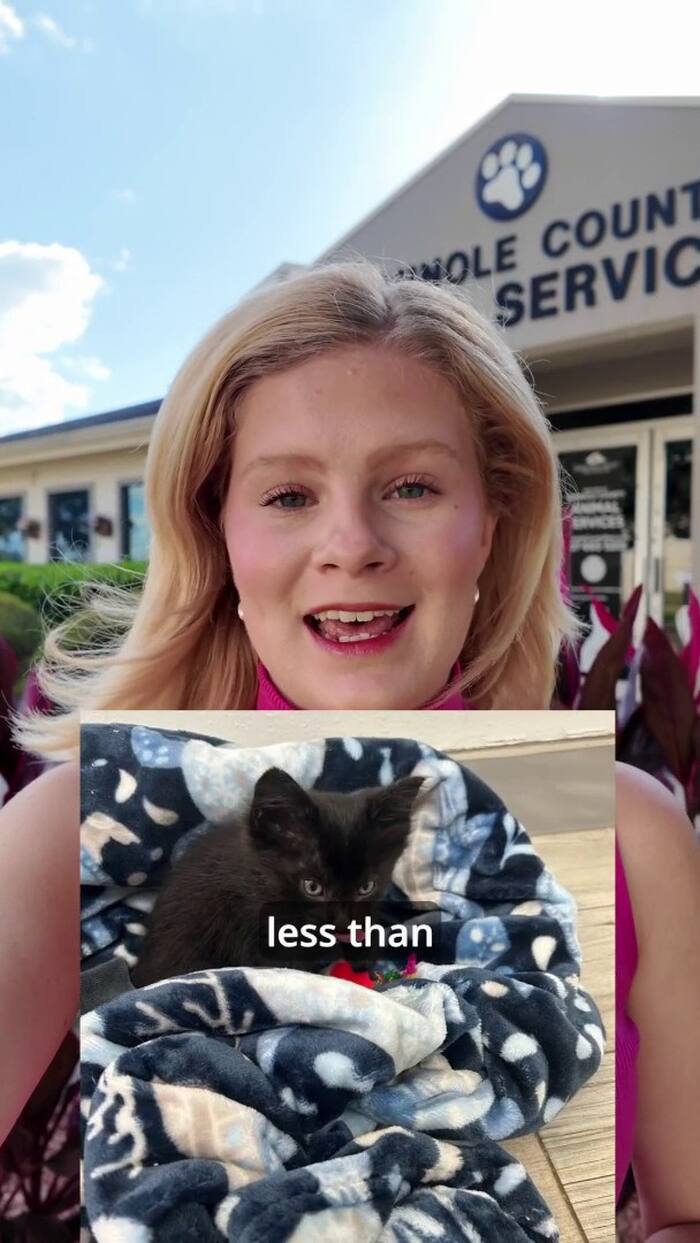 Seminole County waste management workers rescue 5 kittens found on ...