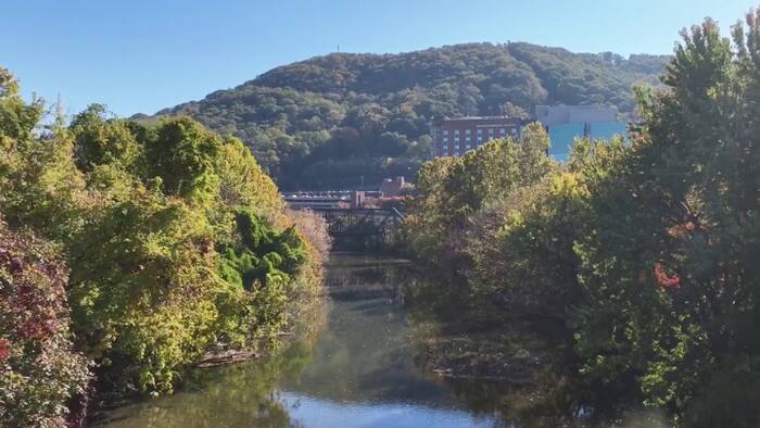 Oakey’s Funeral Service to provide 160 trees for Roanoke Parks