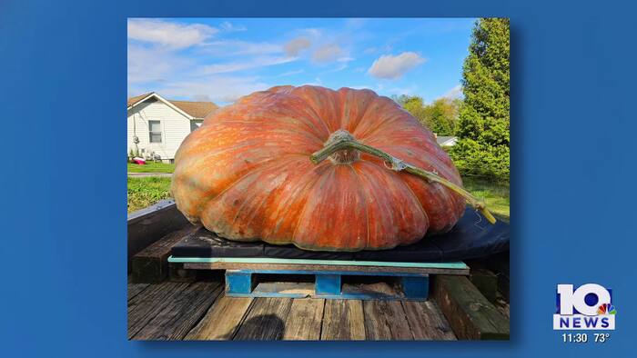 Prize-winning pumpkin grown in Blacksburg