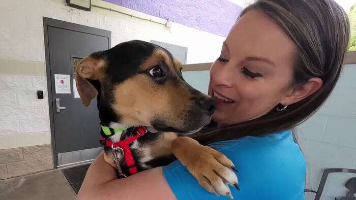 WSLS 10’s Clear the Shelters campaign leads to 956 adoptions across region