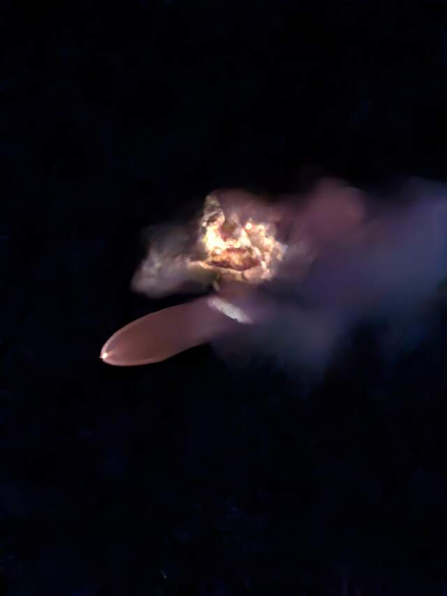 Falcon 9 launch, October 13, 2026 at 6:33 am. 