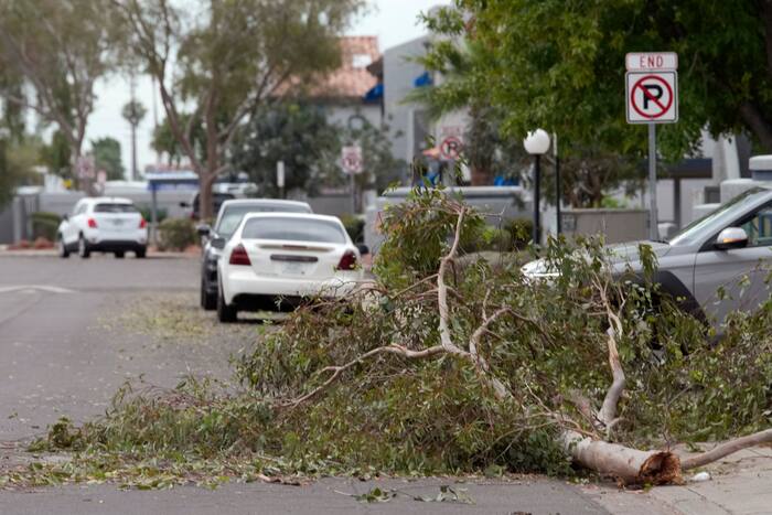 Golf-ball-sized hail batters Arizona in rare western storm