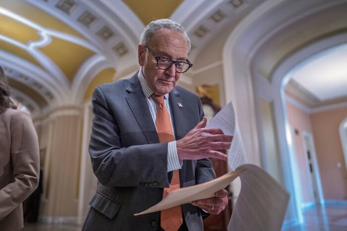 Schumer's future as Democratic leader hinges on midterm results