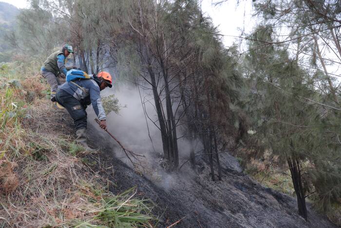 Singapore expands crackdown on Indonesian forest fire companies