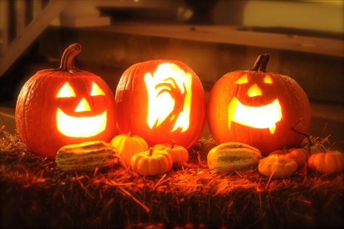 Why Some People Love Being Scared and Others Don't | News Minimalist