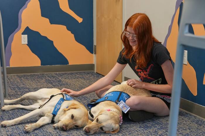 Therapy dogs help Evergreen High School students after shooting