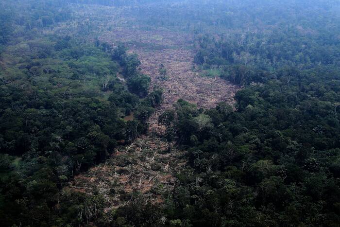 Brazil's election could determine Amazon's environmental future